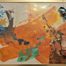 "Das HAI-light 2026!" - "aus der Hai-Serie 2026"