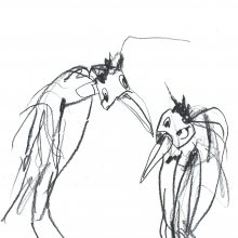 two birds two birds