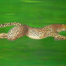 Gepard Gepard