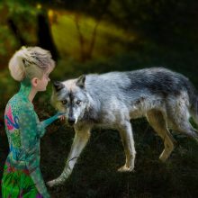 Alissa und der Wolf