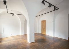 2026 ComeInGalerie©VerenaMayrhofer