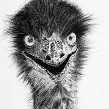 Emu