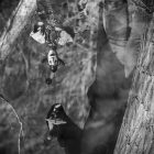 © by Elisabeth Jegel