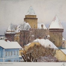 Burg Heidenreichstein