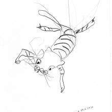 cat, jumping cat, jumping