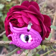 Drache Auge Rose Drache Auge Rose