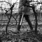 © by Elisabeth Jegel