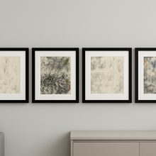 Kompositionen der Natur