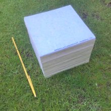 Sonntagsbagatellen_op.171